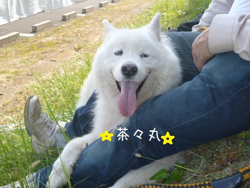 a0166954_21313951.jpg