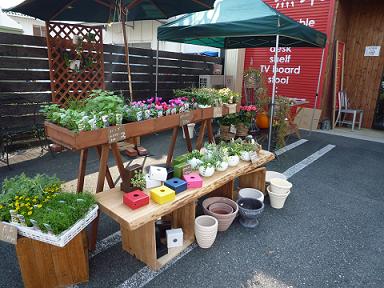 今日の行事!!_a0201358_0341530.jpg