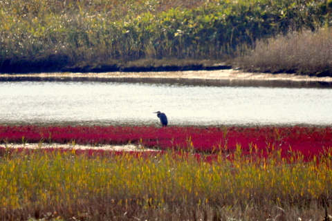 b0165760_1015612.jpg