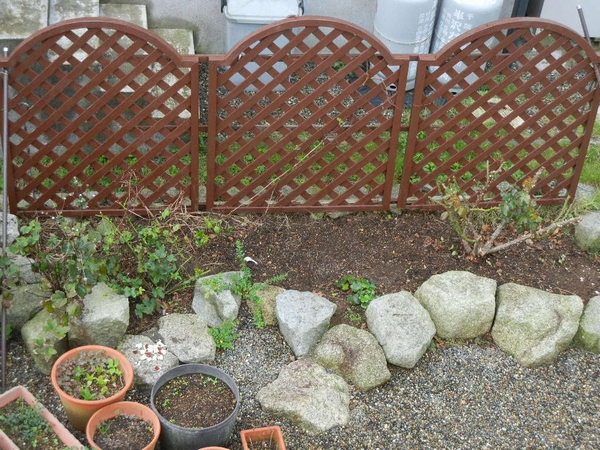 2011年10月9日(日)晴れた日にはペンキ塗り!_f0060461_10135113.jpg