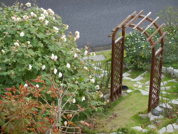 2011年10月9日(日)晴れた日にはペンキ塗り!_f0060461_101425100.jpg