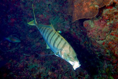 e0096370_20422322.jpg