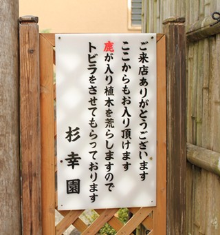 e0203477_21102697.jpg