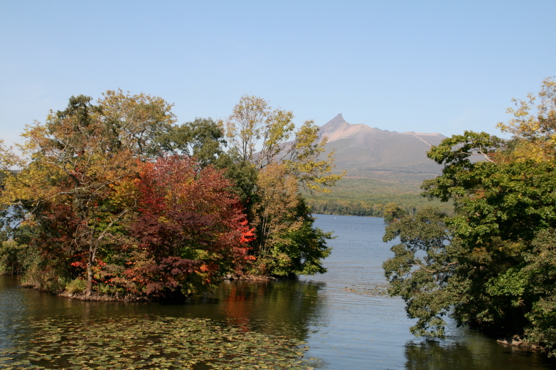 c0112479_20301060.jpg