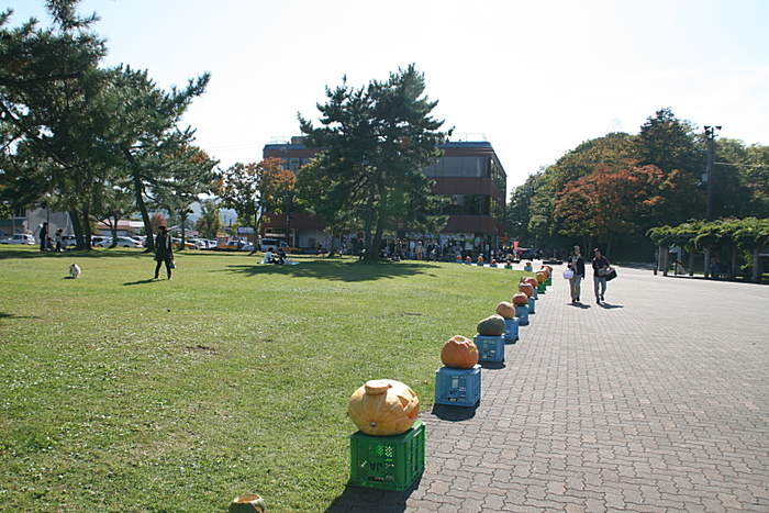 c0112479_20343380.jpg