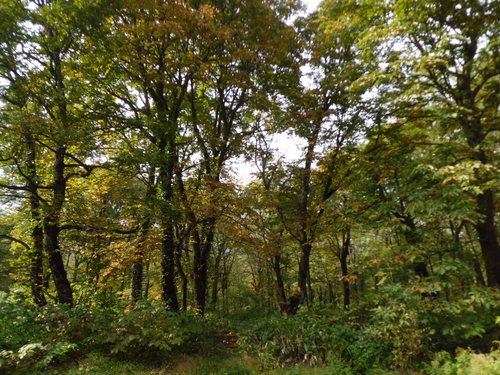 c0223879_145035100.jpg