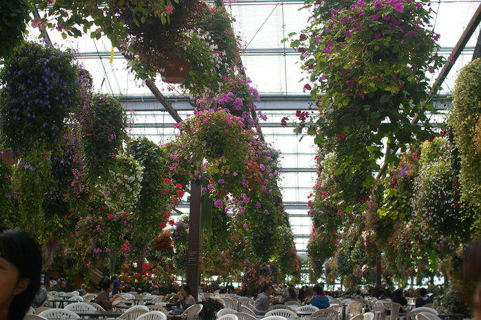 d0114782_09193.jpg