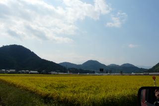 2011年10月9日 が・が・が・・・_b0098584_13534970.jpg