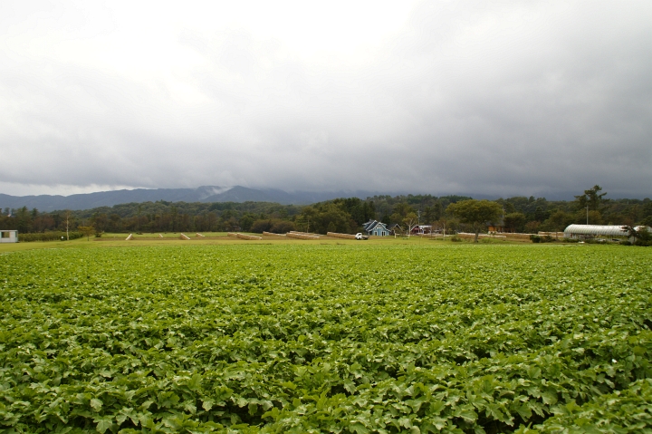 奇跡的に晴れた蒜山^^_f0189086_21151184.jpg