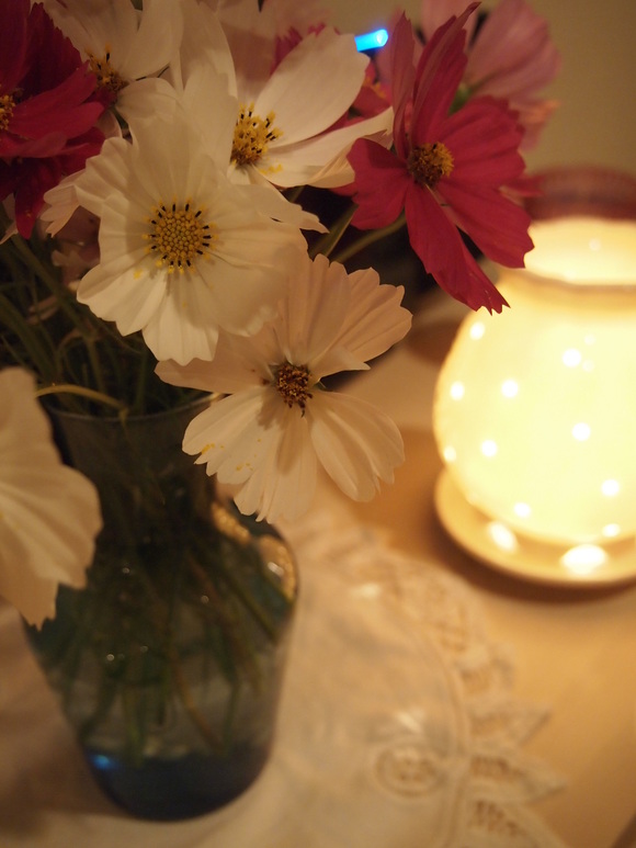 f0196286_2332170.jpg