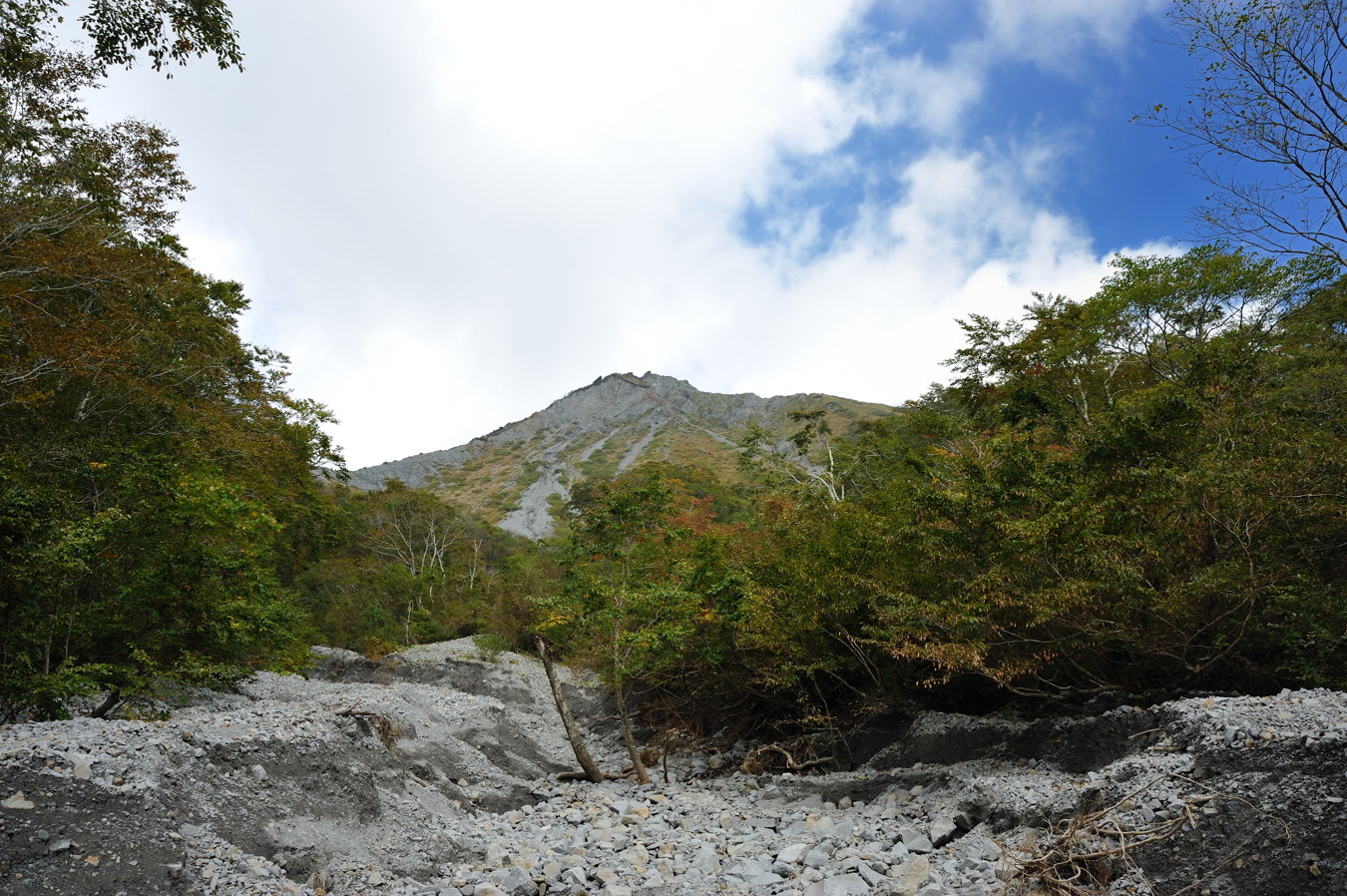 c0138991_19411911.jpg