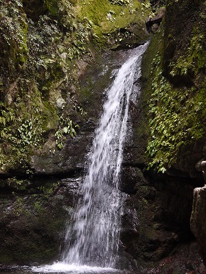 b0079995_1753272.jpg
