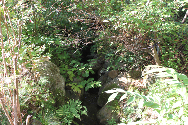 c0117597_081140.jpg