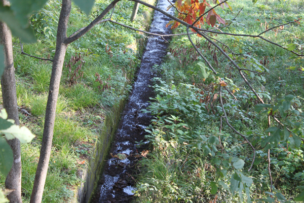 c0117597_094695.jpg