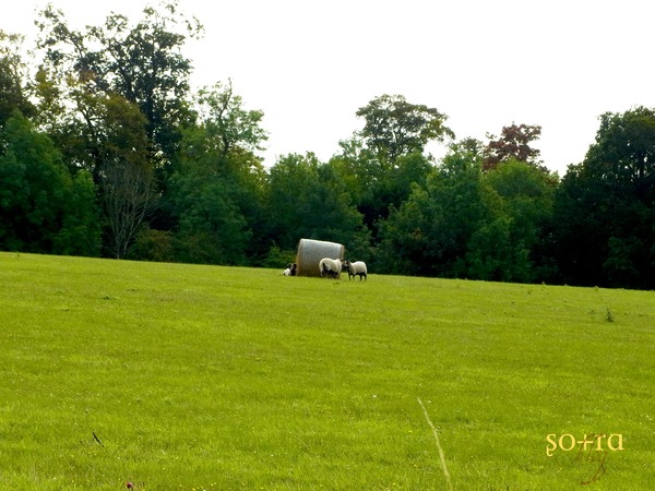 e0248598_04544.jpg
