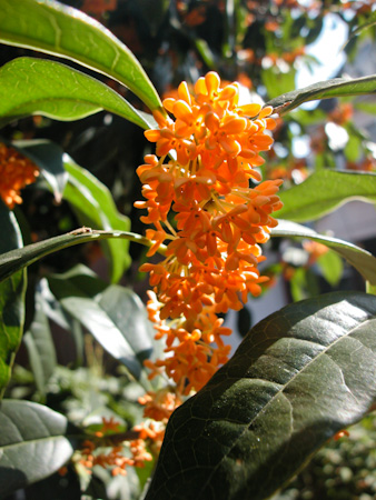 f0239100_9462254.jpg