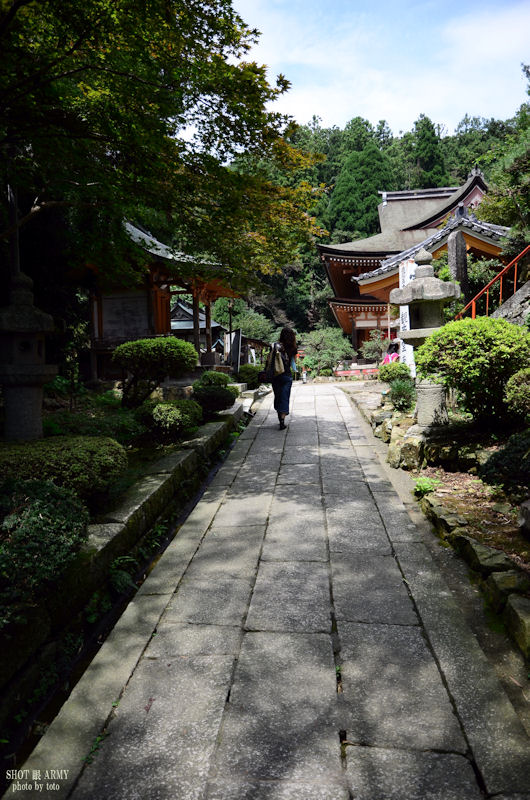 2011夏旅行 琵琶湖と黒い壁のまち ～ 竹生島編 六 ～_d0085501_22564068.jpg