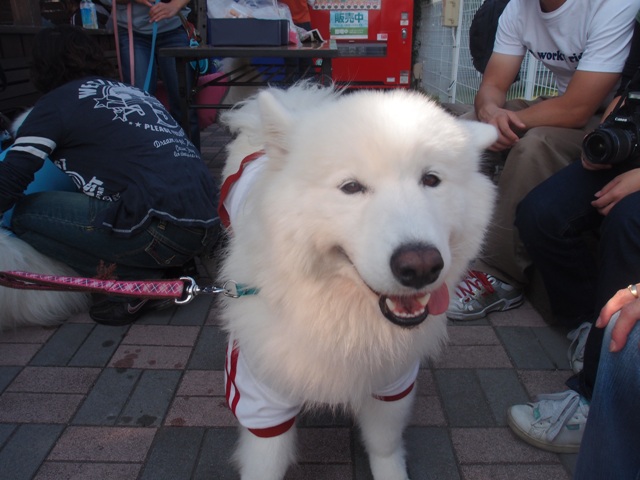 e0018604_1031476.jpg