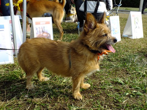 e0242804_16551332.jpg