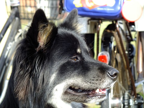 e0242804_1750163.jpg