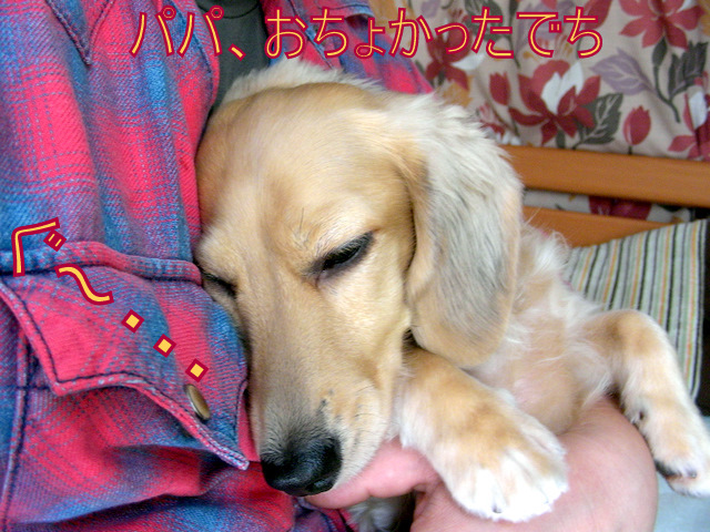 f0224506_12123514.jpg