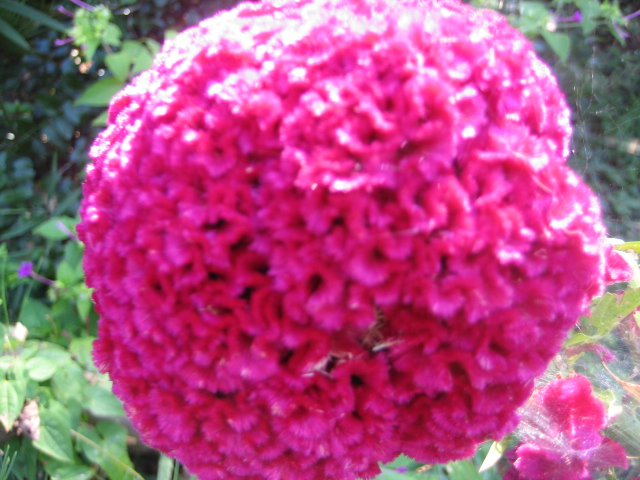 f0077807_102479.jpg