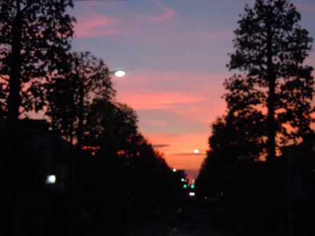b0026408_2362562.jpg
