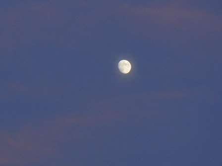 b0026408_2365143.jpg