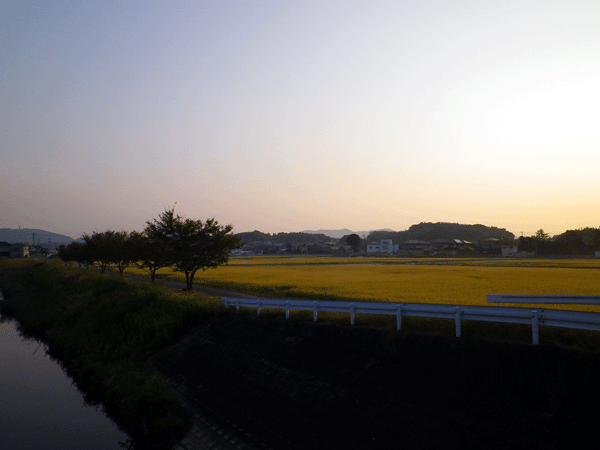 b0000209_19263791.gif