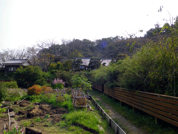b0000209_19432098.gif