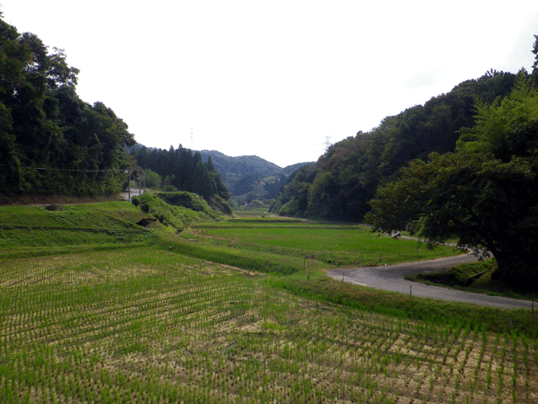 b0000209_19491268.gif