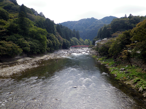 b0000209_19551249.gif