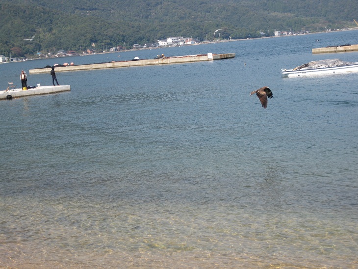 f0179209_22233511.jpg