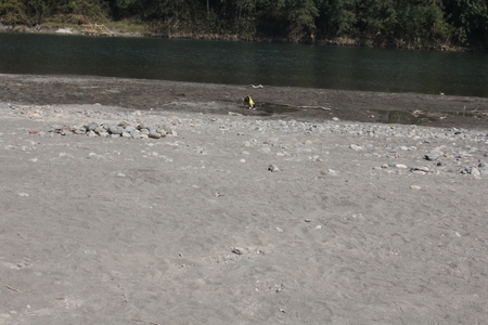 f0186509_20402352.jpg
