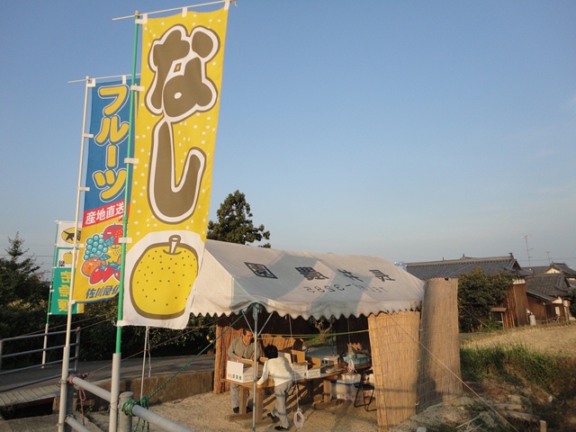 梨の産地・愛媛県今治市朝倉…2011/10/10_f0231709_2114159.jpg