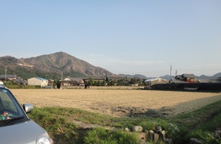 梨の産地・愛媛県今治市朝倉…2011/10/10_f0231709_21161679.jpg