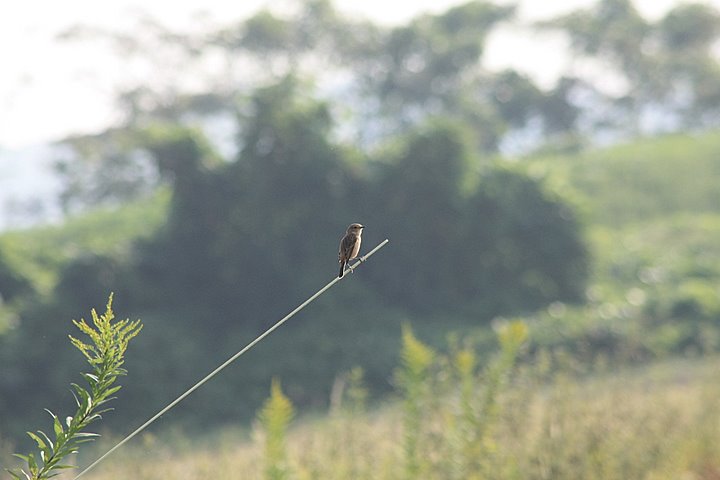 c0110510_1921819.jpg