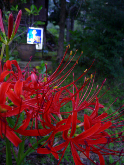 d0088611_0492024.jpg