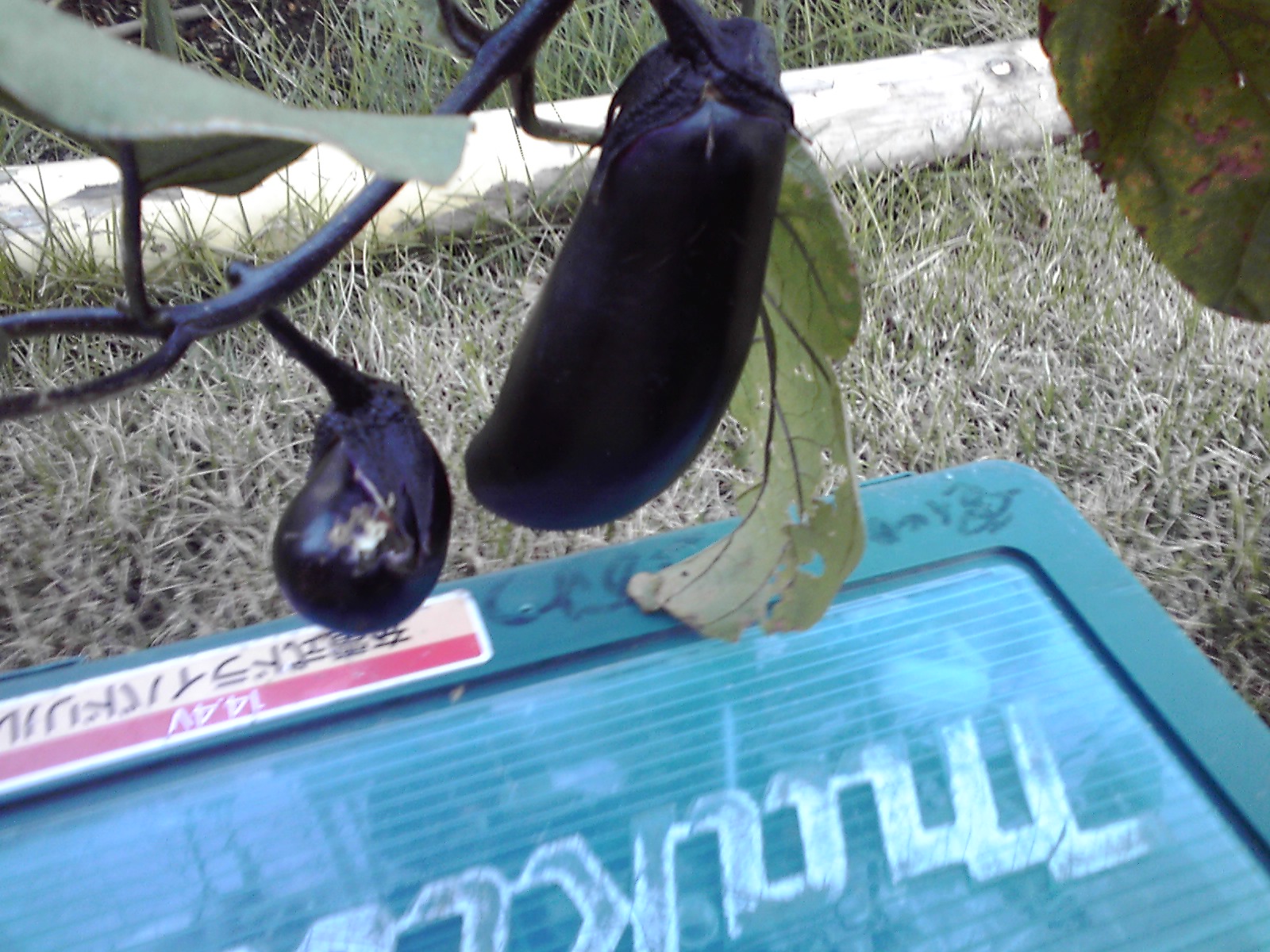 c0193512_22142596.jpg