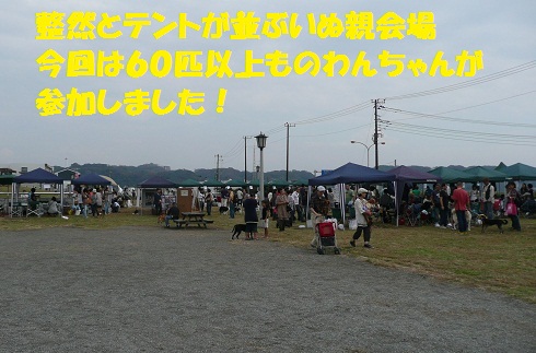 f0121712_6293330.jpg