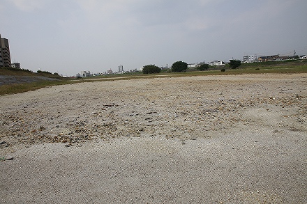 f0191413_11154719.jpg