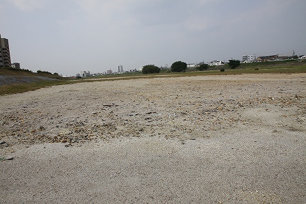 台風15号の傷跡が残る矢田川_f0191413_11154719.jpg