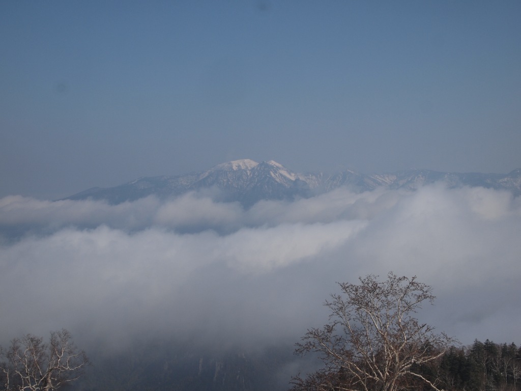 e0113915_8141621.jpg