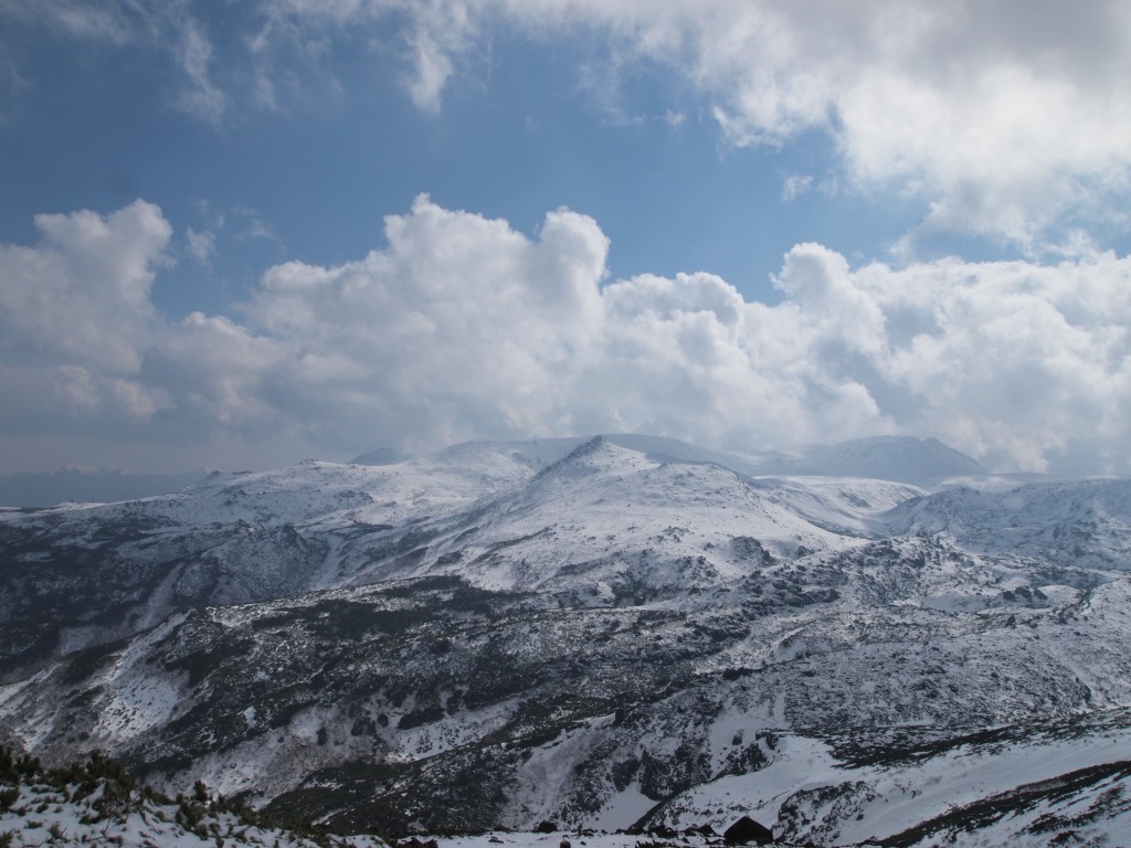 e0113915_8532331.jpg
