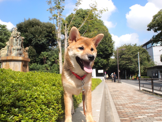 上野公園デビュー_b0224616_1420474.jpg