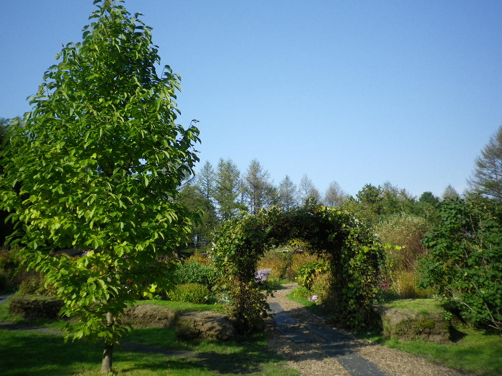 e0052716_15133374.jpg