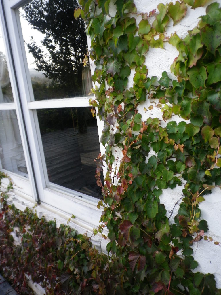 e0052716_15153573.jpg