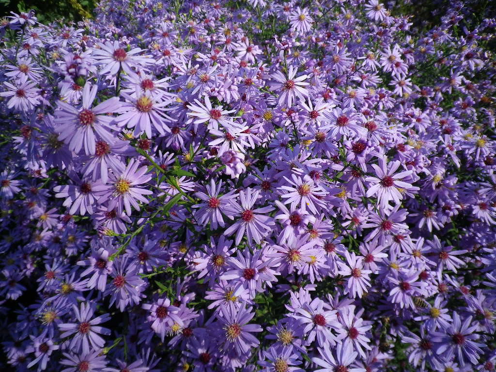 e0052716_15165156.jpg
