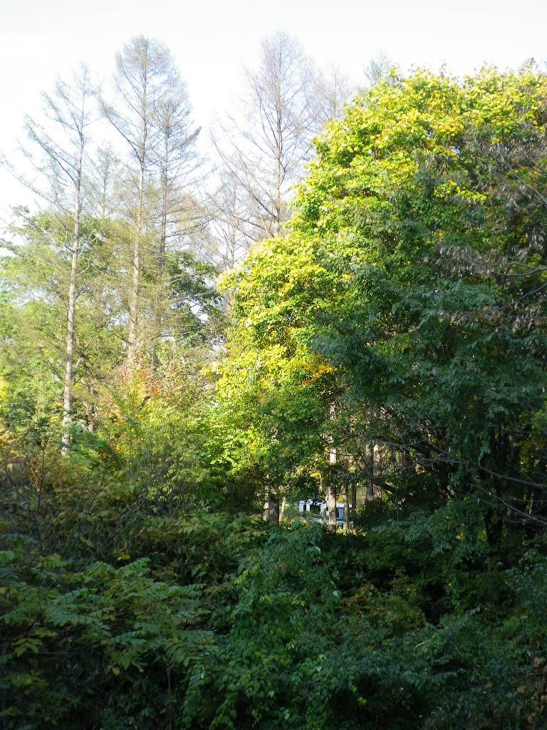 e0052716_15195738.jpg