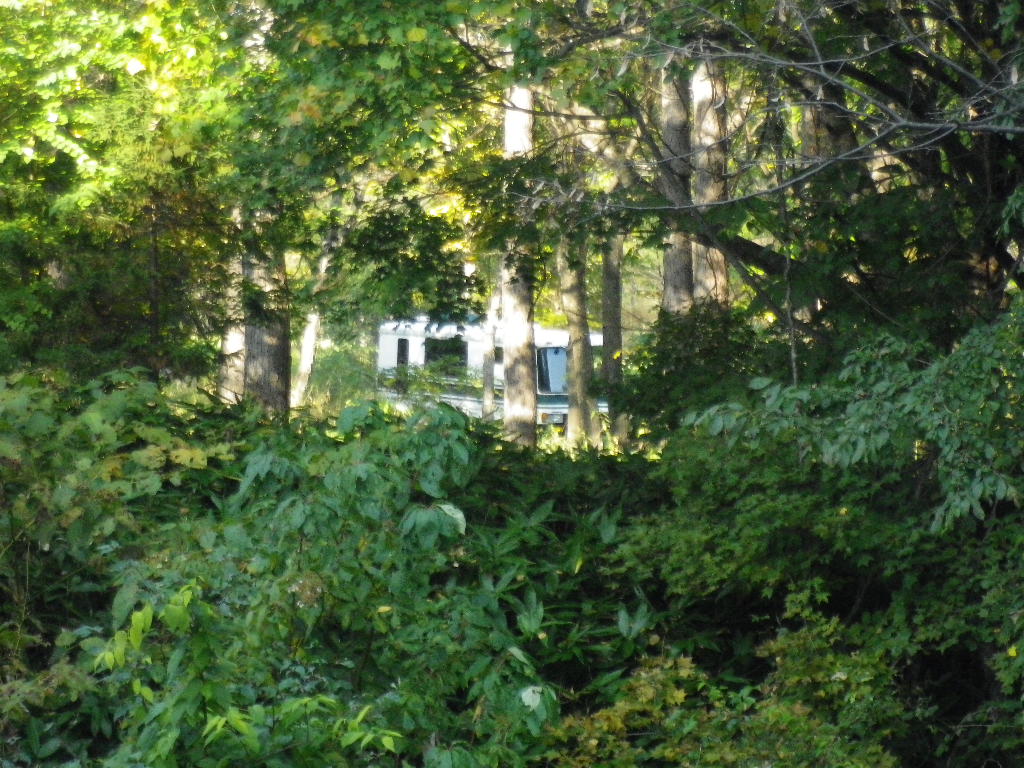 e0052716_15201838.jpg